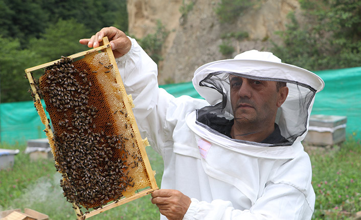Anzer balı fiyatında bu yıl artış yok