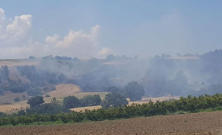 Çanakkale'de orman yangını - 20 Temmuz 2020