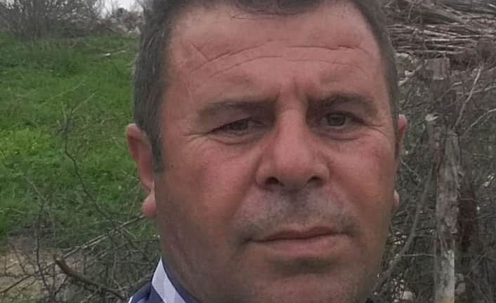 Vezirköprü’de kavak ağacı kesiminde facia: Bir kişi öldü