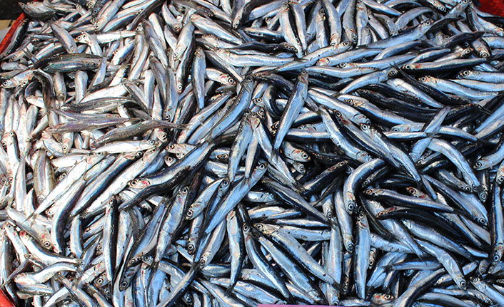 Tezgahlar balıksız kalmıyor