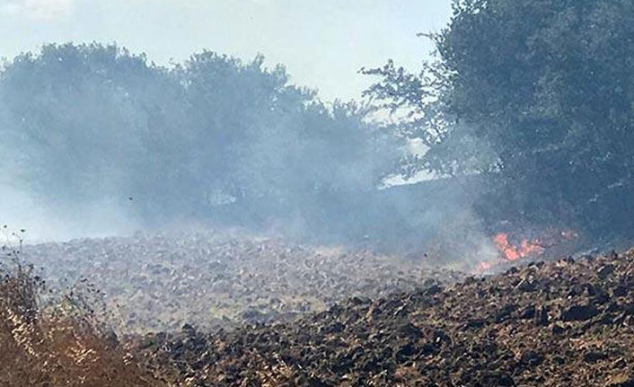 Tekirdağ'da orman yangını!