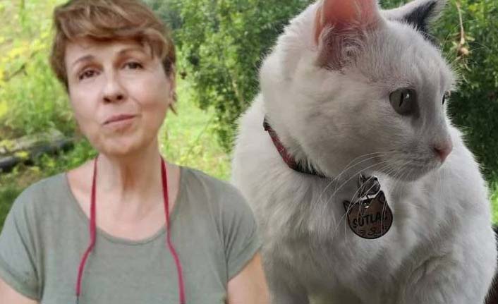 Felçli kediyi silahla öldürdüler