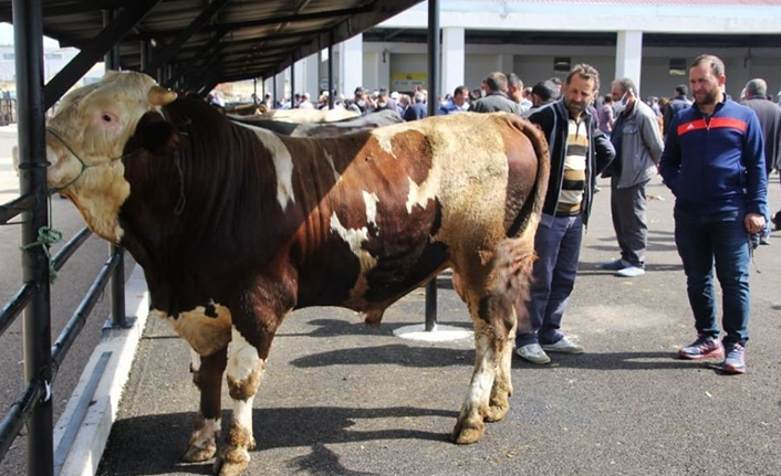 Bayburt’ta Kurban Bayramı heyecanı
