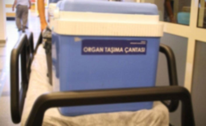 Organları 3 hastaya umut oldu