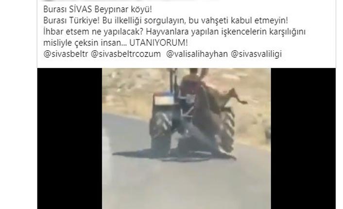 Vicdanları sızlatan görüntünün üzerine harekete geçildi