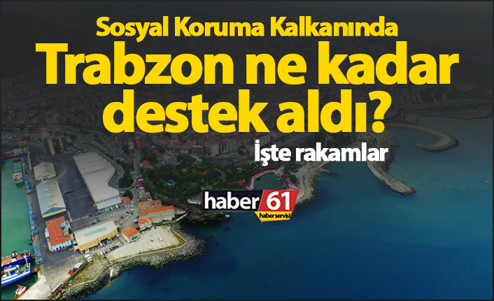 Sosyal koruma kalkanında Trabzon ne kadar destek aldı?