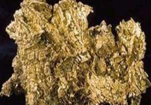 Bulancak'ta altın sevinci