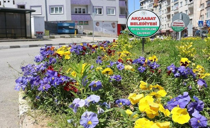 Akçaabat'ta peyzaj çalışmaları deva ediyor