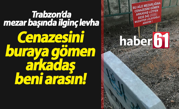 Trabzon'da ilginç levha: Cenazesini buraya gömen beni arasın!