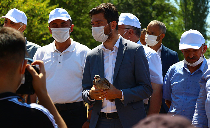 Kene ile mücadele için keklik yetiştirdiler