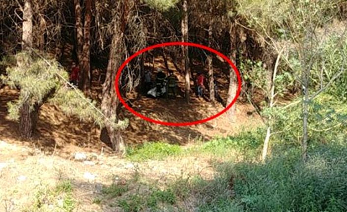 Şok olay! Baba kız farklı ilçelerde ağaca asılı halde ölü bulundu