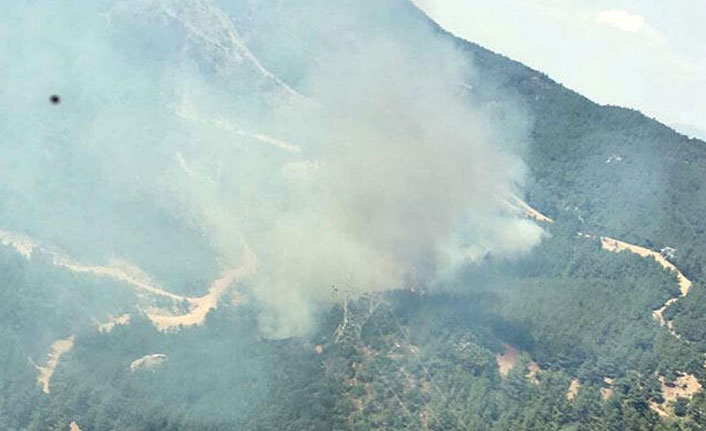 Ağaçlandırma sahasında yangın!