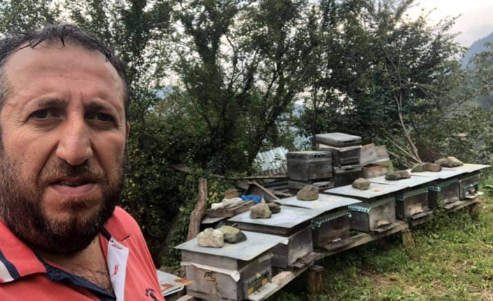 Bal üreticisi arı sokması sonucu hayatını kaybetti