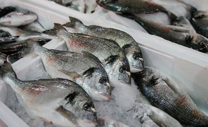 Su ürünleri ihracatı 7 ayda 548 milyon dolar kazandırdı