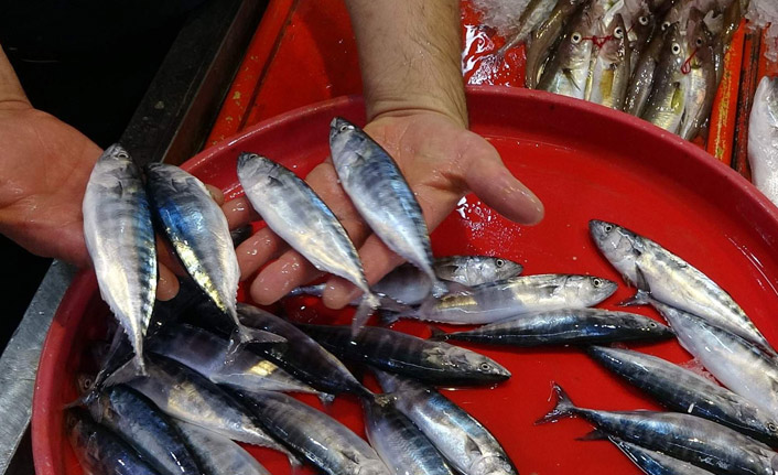 Trabzon'da tezgahlar çingene palamudu ile şenlendi