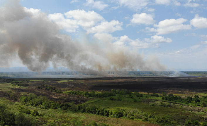 Samsun Terme’de sazlık yangını kontrol altına alındı