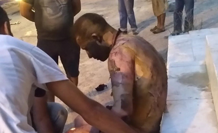 Tartıştıkları tinerciyi yaktılar