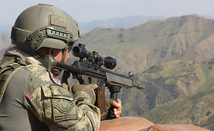 Gri listedeki terörist etkisiz hale getirildi - 14 Ağustos 2020