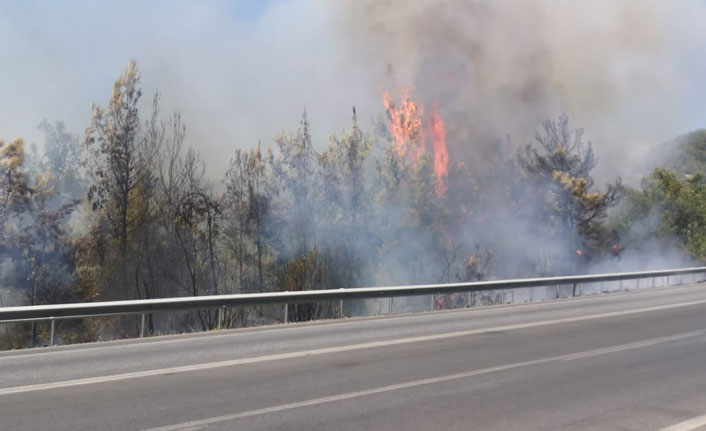 Lastiği patlayan kamyon orman yangını çıkardı