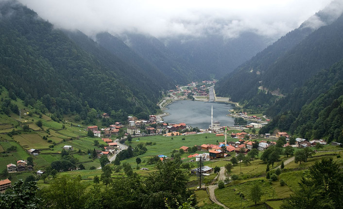 Cumhurbaşkanı Erdoğan'dan Ayder ve Uzungöl açıklaması: "Kimse kusura bakmasın yıkılacak!"