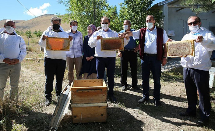 Bayburt balında hasat başladı