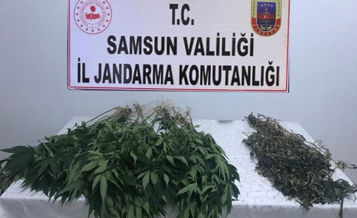 Salıpazarı’nda esrar operasyonu