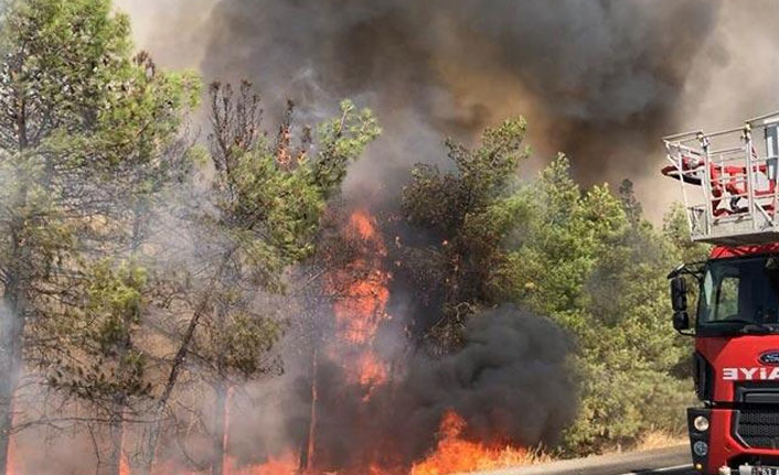 Şanlıurfa'da korkutan yangın!