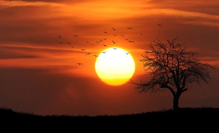 Temmuz ayı, Kuzey Yarımküre'de 'en sıcak ay' olarak kayıtlara geçti