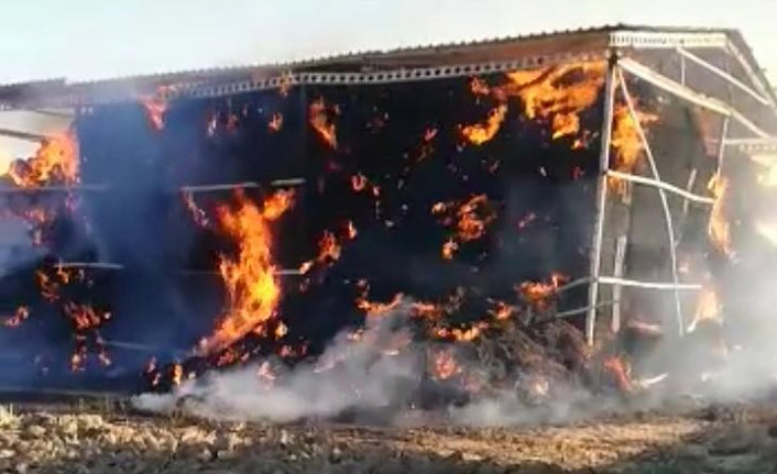 5 bin balya saman cayır cayır yandı