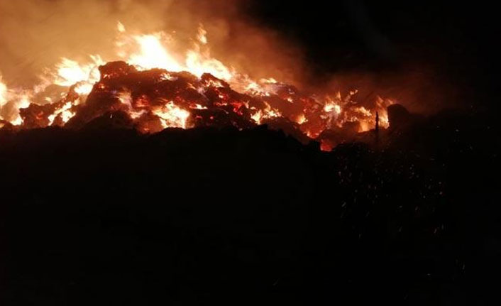 70 ton saman ile 5 bin bağ ot yandı