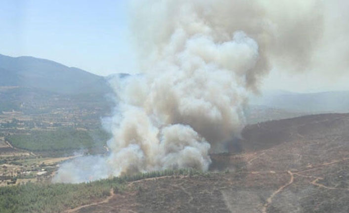 Muğla'da orman yangını!