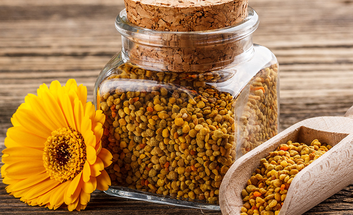 Polenin kemiklerden, tırnağa kadar faydaları