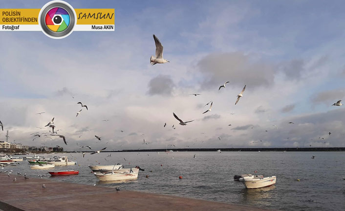 Polisin objektifinden Samsun