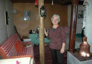 Çam ağacının üstüne ev yaptılar