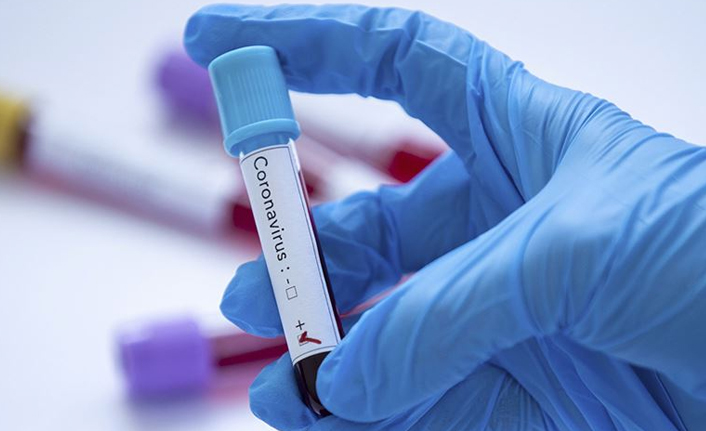 Koronavirüsle ilgili mutasyon gelişmesi