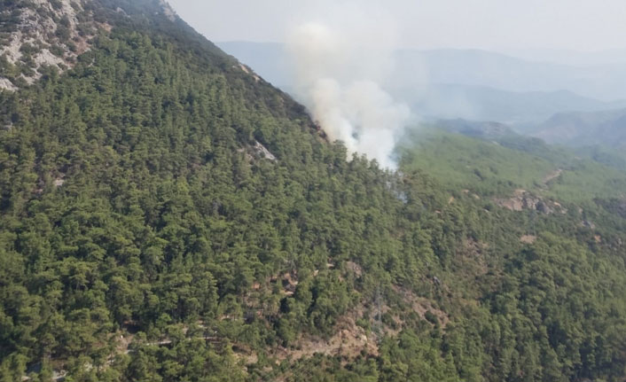 Orman yangını kontrol altına alındı