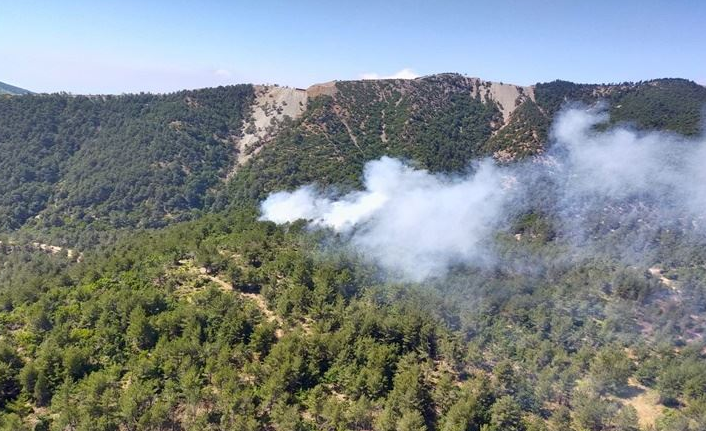 Hatay'da orman yangını - 01 Eylül 2020