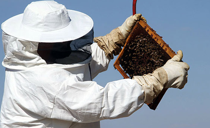 Bayburtlu arıcıların sevinci! "Coğrafi işaret tescili" verildi