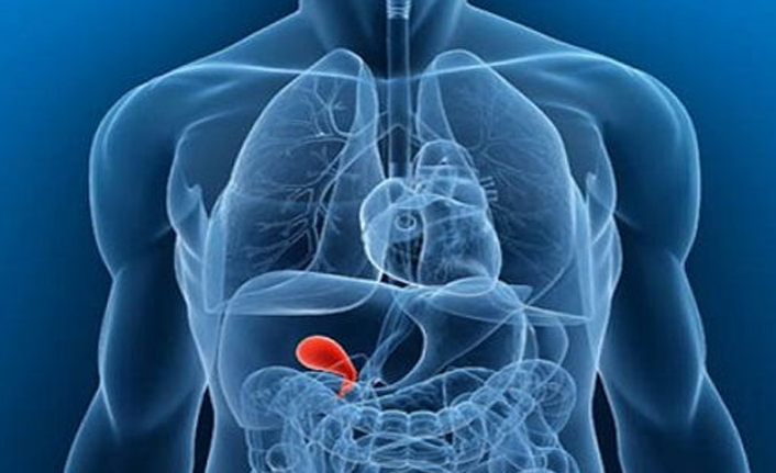 "Safra kesesi sorunlarında tedavi ihmal edilmemeli"