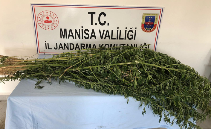 Sarıgöl’de uyuşturucu operasyonu