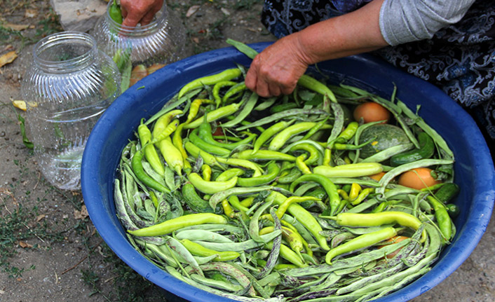 Bayburt'ta turşu ve salça seferberliği