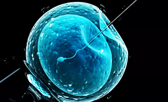 Tüp bebek mi yoksa aşılama mı?