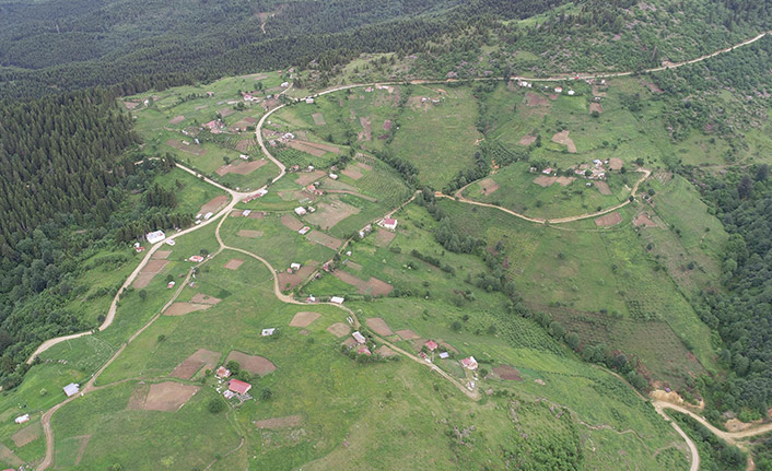 Karadeniz'de yaylacılara kritik uyarı: Sakın yapmayın!