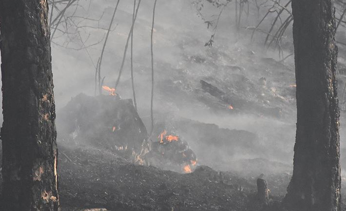 Pakdemirli: "Bugün başlayan 11 orman yangınının 10’unu kontrol altına aldık"