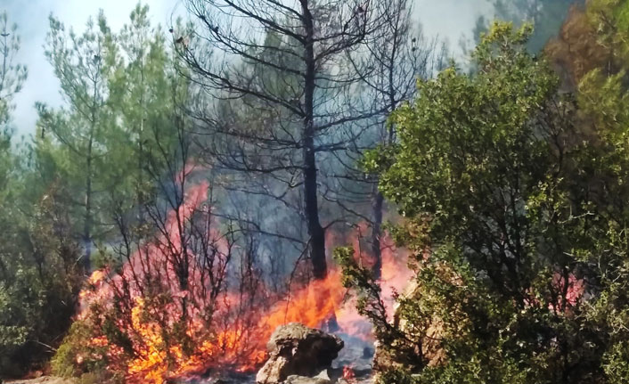 Kavaklıdere yangını kontrol altında