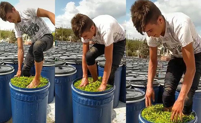 Tiktok'ta beğeni almak için yaptığı iğrençlik pahalıya patladı