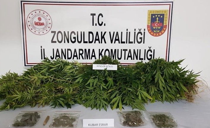 Jandarmadan uyuşturucu operasyonu - 12 Eylül 2020