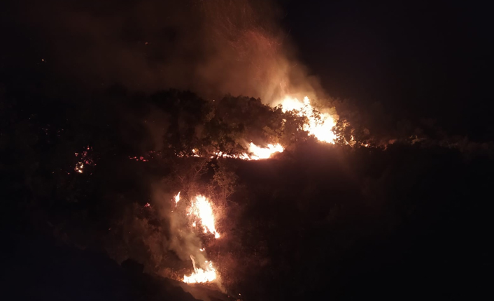 Orman yangını 30 saatte kontrol altına alındı