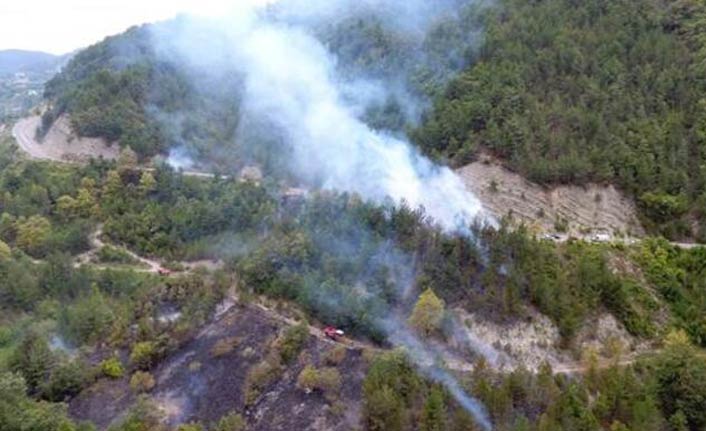 Kuru otları temizlemek isterken 20 hektar ormanı yaktı!