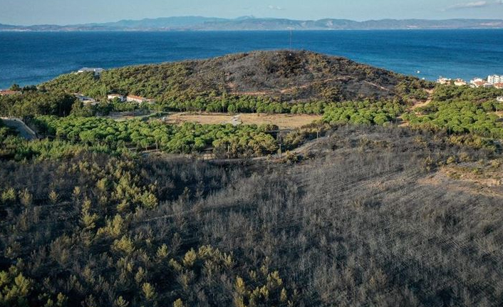 Balıkesir’deki orman yangını kontrol altına alındı